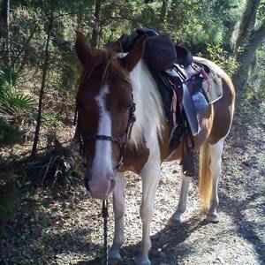 Meet your Posher, Penny